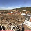 12_55-nest.jpg