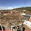 13_00-nest.jpg