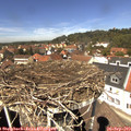 13_05-nest.jpg