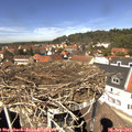 13_10-nest.jpg