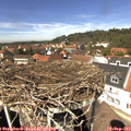 13_30-nest.jpg