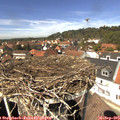 13_35-nest.jpg