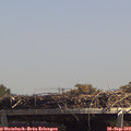13_45-mast.jpg