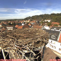 13_45-nest.jpg