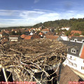 13_50-nest.jpg