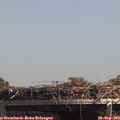 13_55-mast.jpg