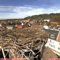 13_55-nest.jpg