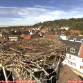 14_00-nest.jpg