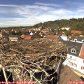 14_05-nest.jpg
