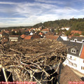 14_10-nest.jpg