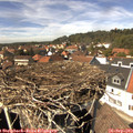 14_15-nest.jpg