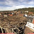 14_20-nest.jpg
