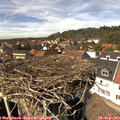 14_30-nest.jpg
