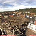 14_35-nest.jpg
