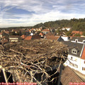 14_40-nest.jpg
