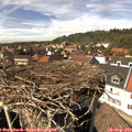 14_45-nest.jpg