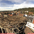 14_55-nest.jpg