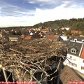 15_00-nest.jpg