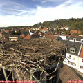 15_05-nest.jpg