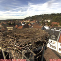 15_10-nest.jpg