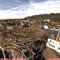 15_15-nest.jpg