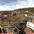 15_20-nest.jpg