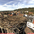15_30-nest.jpg