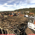 15_35-nest.jpg