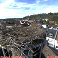 16_00-nest.jpg