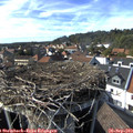 16_05-nest.jpg