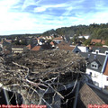 16_10-nest.jpg