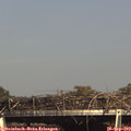 16_15-mast.jpg