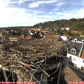 16_15-nest.jpg
