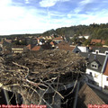 16_20-nest.jpg
