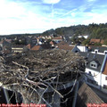 16_25-nest.jpg