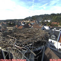 16_30-nest.jpg