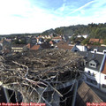 16_35-nest.jpg