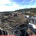 16_40-nest.jpg