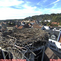 16_45-nest.jpg