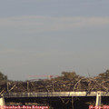 16_50-mast.jpg
