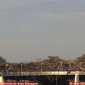 17_00-mast.jpg