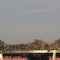 17_15-mast.jpg
