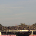 17_40-mast.jpg