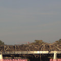 17_45-mast.jpg