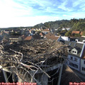 17_45-nest.jpg