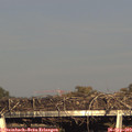 17_50-mast.jpg