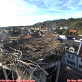 17_50-nest.jpg