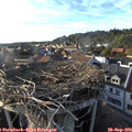 17_55-nest.jpg