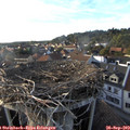 18_00-nest.jpg