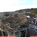 18_05-nest.jpg
